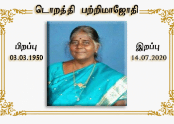 டொறத்தி பற்றிமாஜோதி சேவியர் அரசநிலை