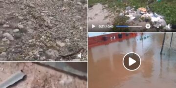 Ditwa புயலின்பின் (28.11..)எமது ஊரின் நிலமை